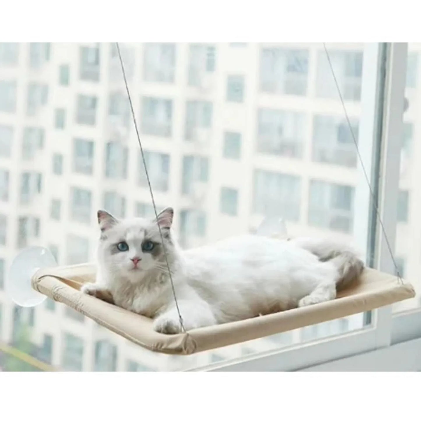 Cama colgante para gato