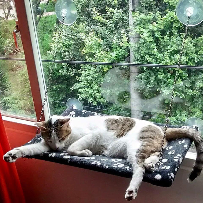 Cama colgante para gato