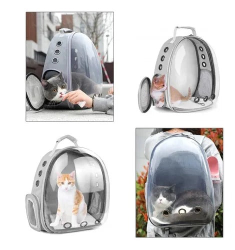 Mochila para mascotas