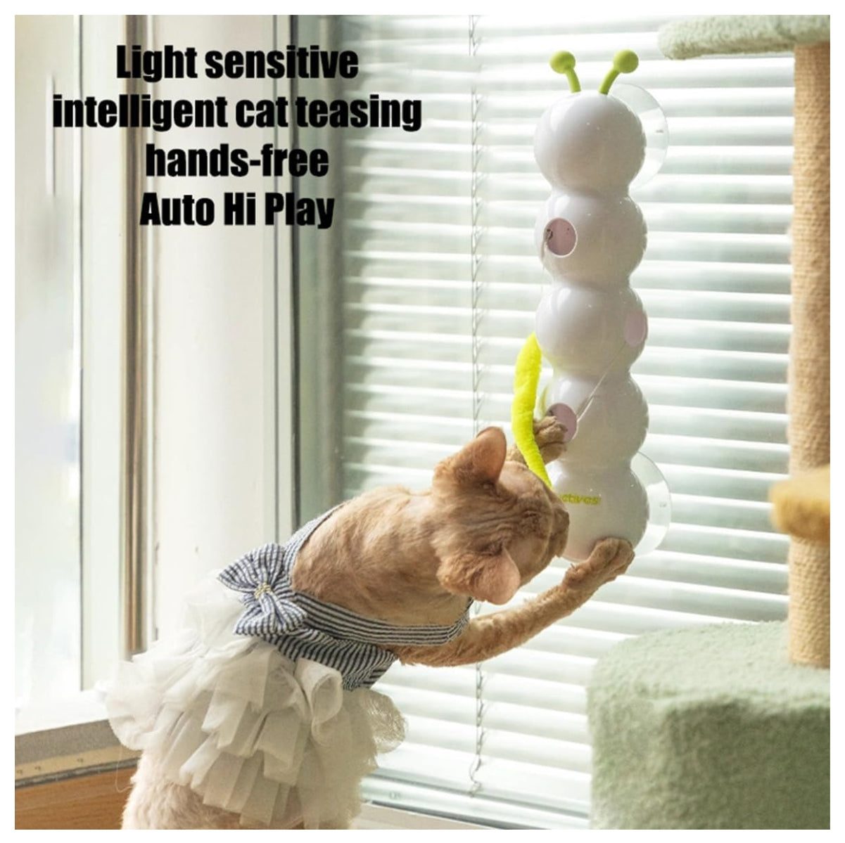 Gusano interactivo para gatos