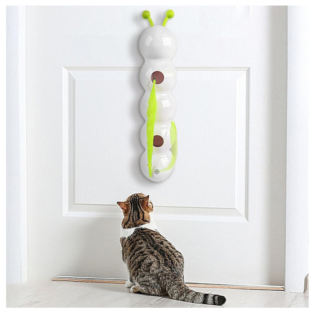 Gusano interactivo para gatos