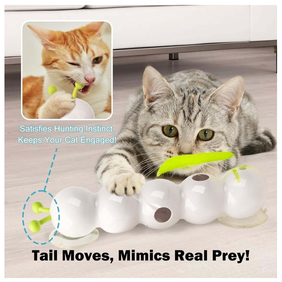 Gusano interactivo para gatos