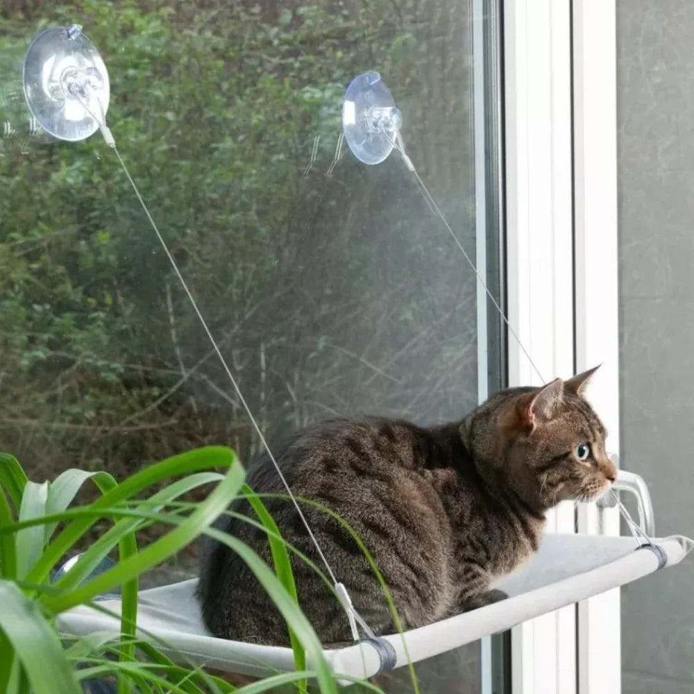 Cama colgante para gato