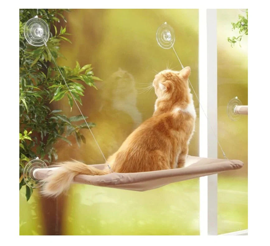 Cama colgante para gato